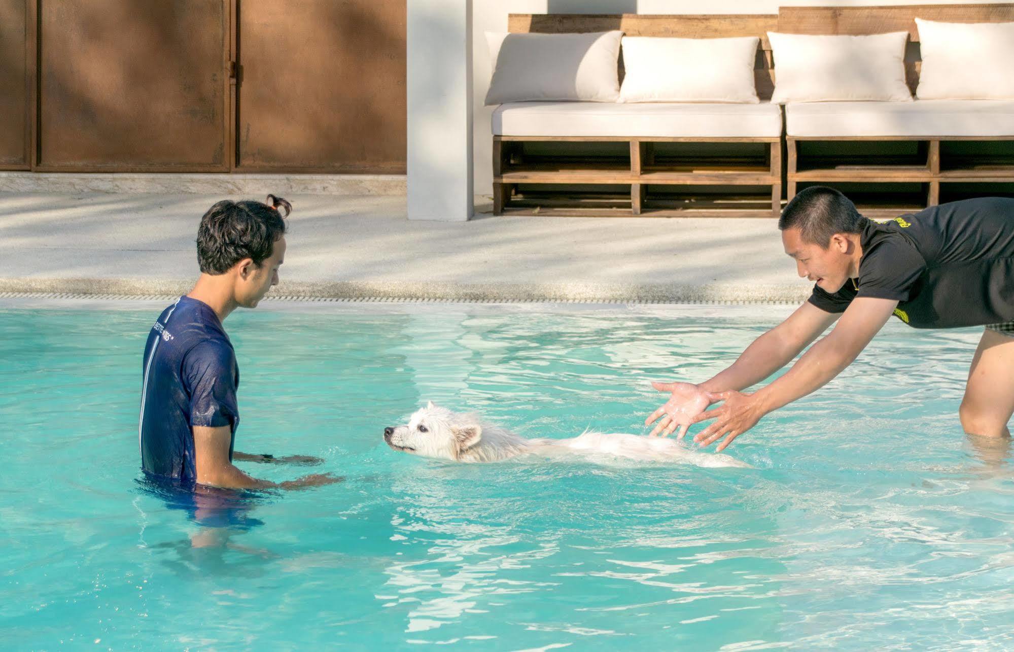 Pawtel Otel Mae Rim Dış mekan fotoğraf
