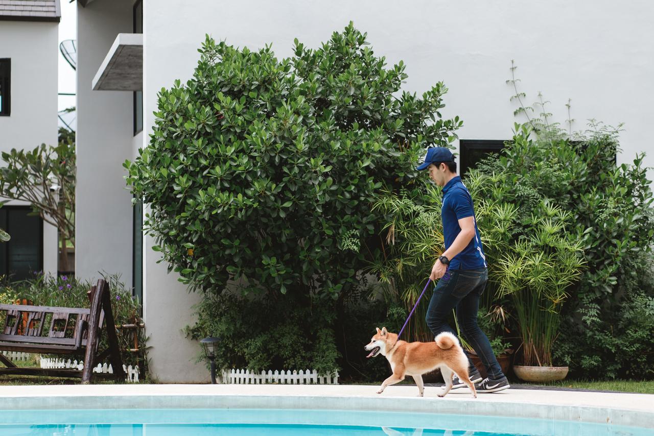 Pawtel Otel Mae Rim Dış mekan fotoğraf